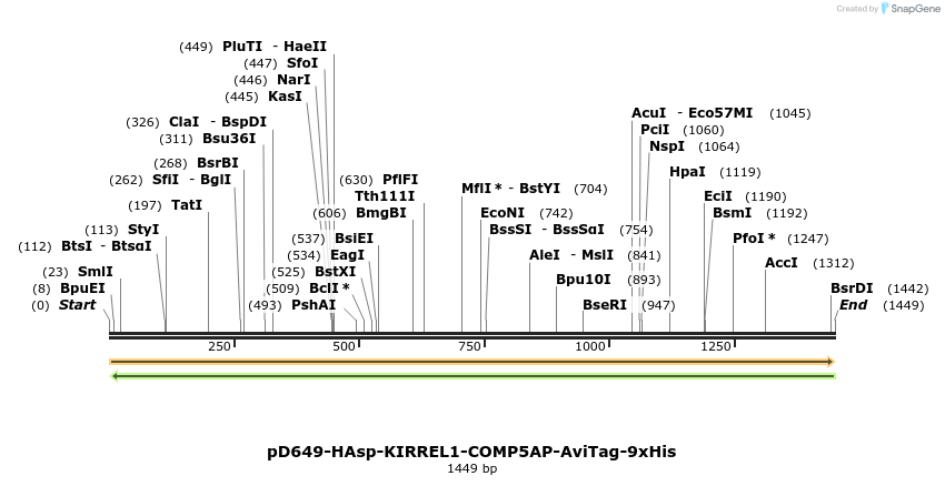 303990_map