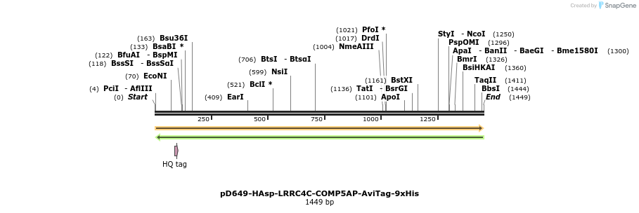 303992_map