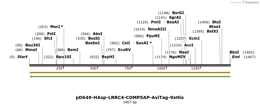 303996_map