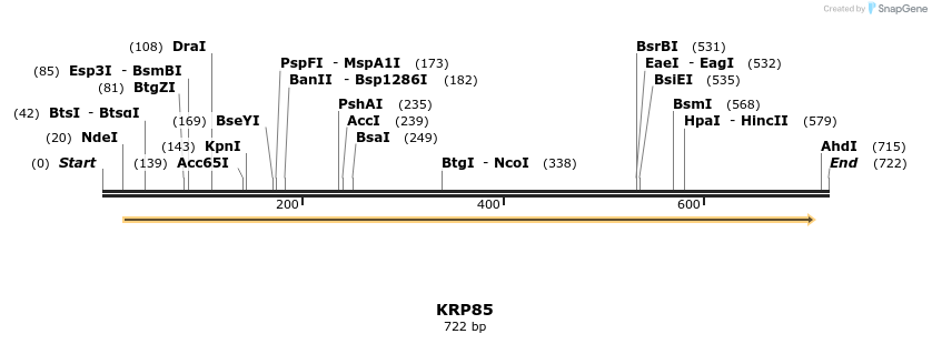 30400_map