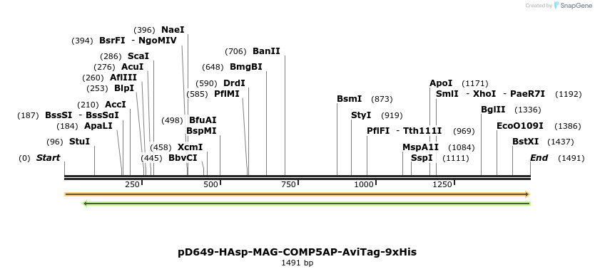 304002_map