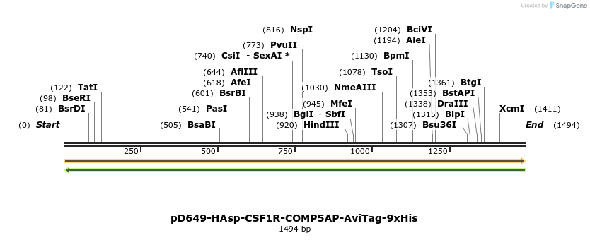 304004_map