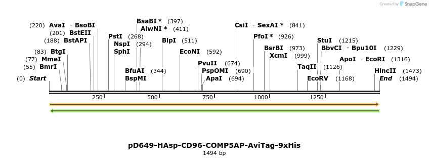 304006_map