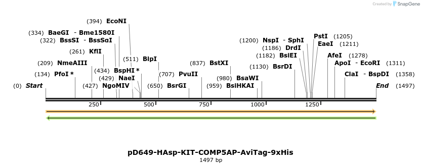 304008_map