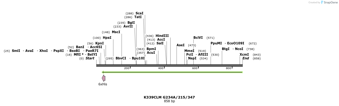 30401_map