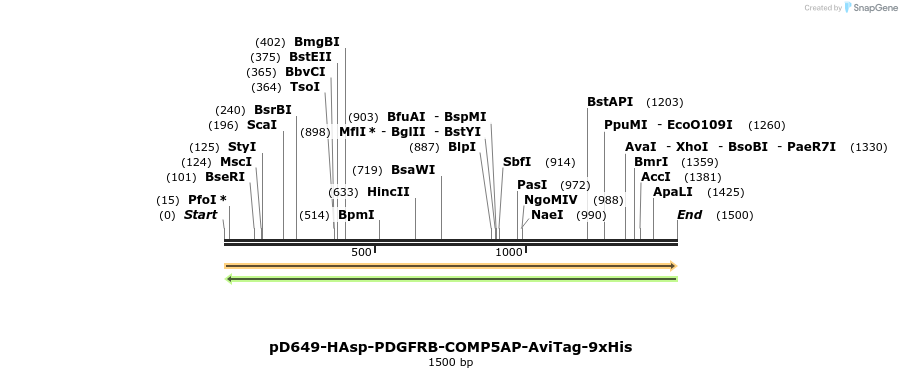 304010_map