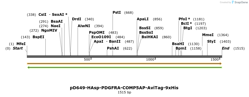 304018_map