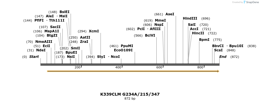 30402_map