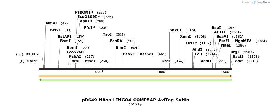 304020_map