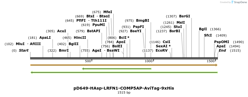 304022_map