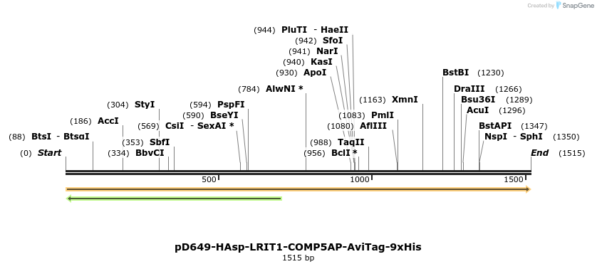 304024_map