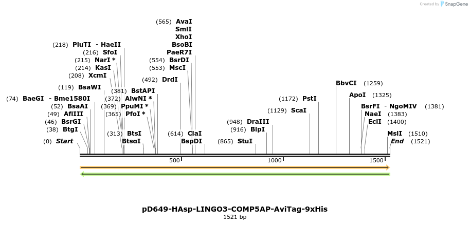 304026_map