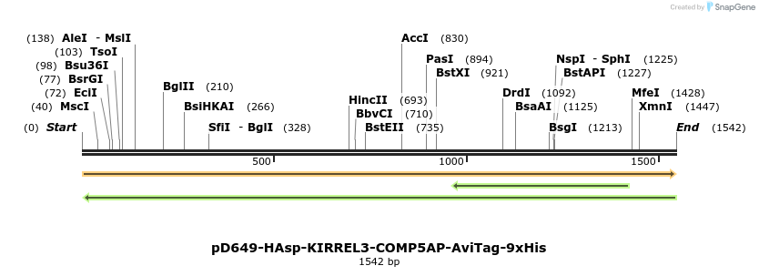 304030_map