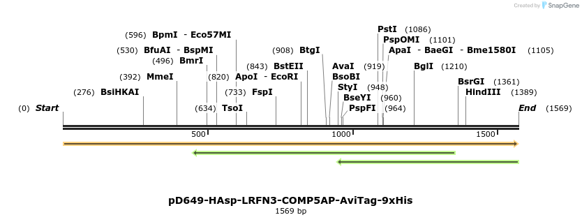 304044_map