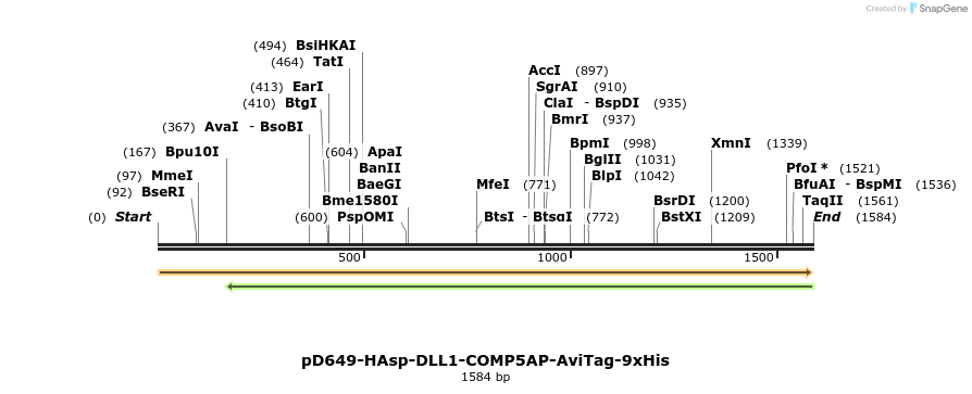 304046_map