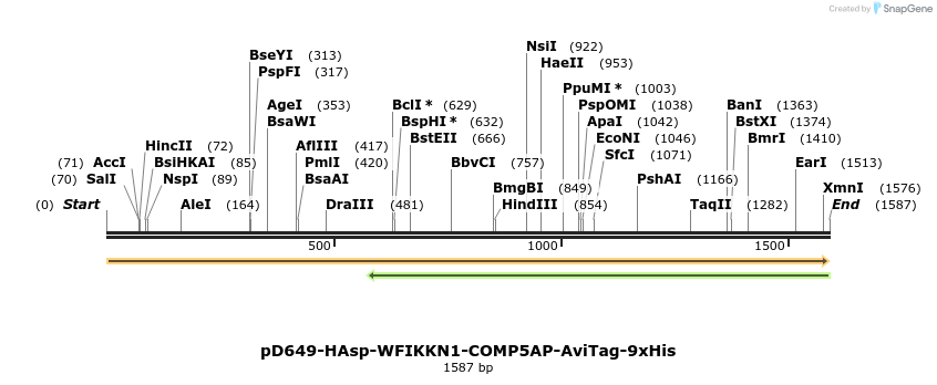 304048_map