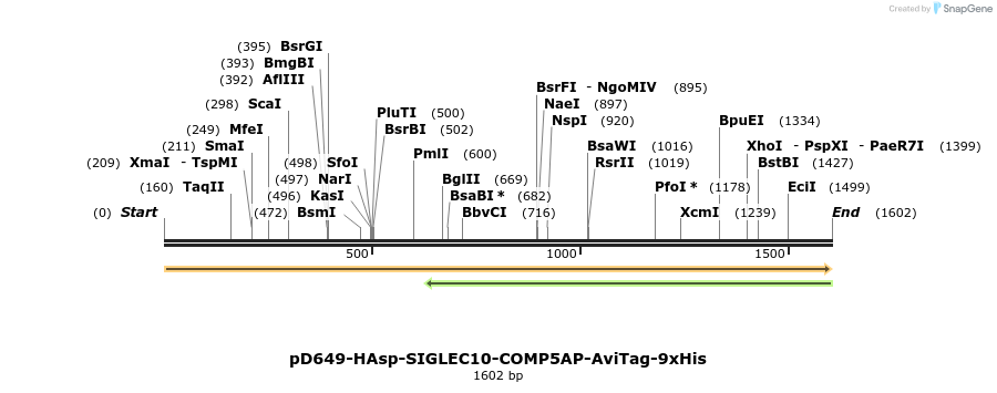 304050_map