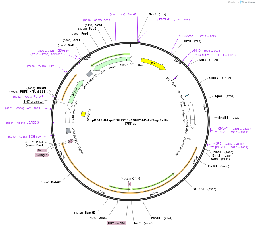 304051_map