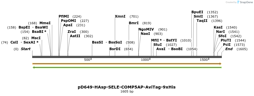 304054_map