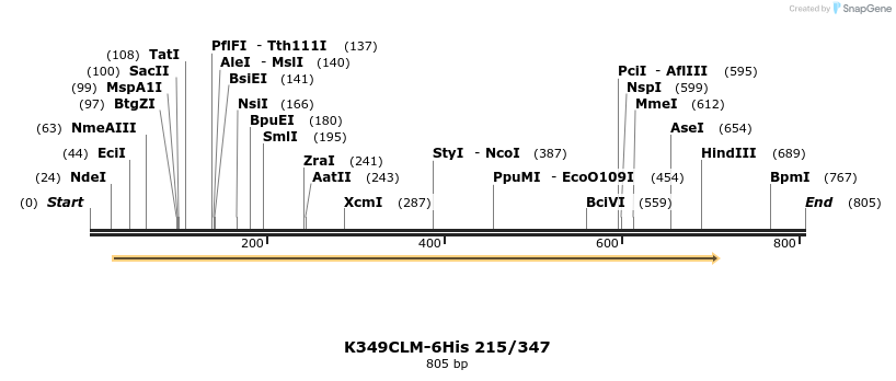 30406_map