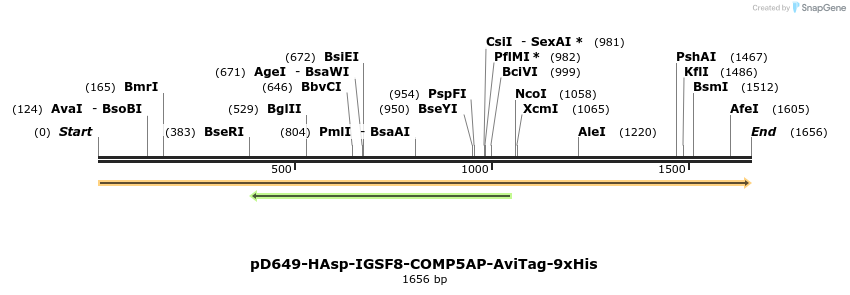 304062_map