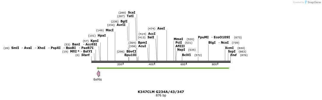 30407_map