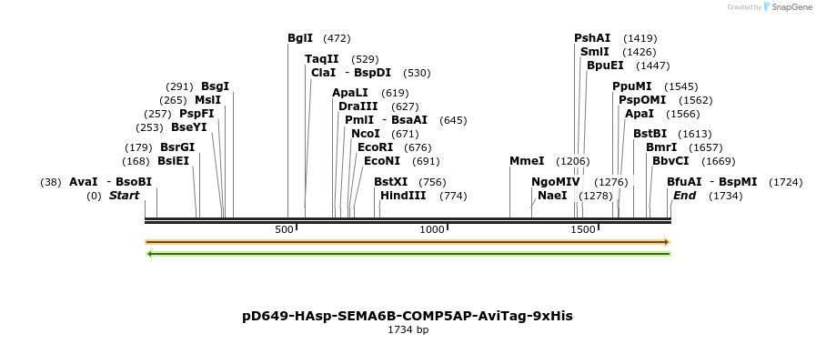 304074_map