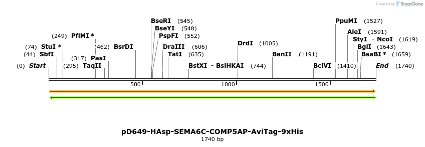 304076_map