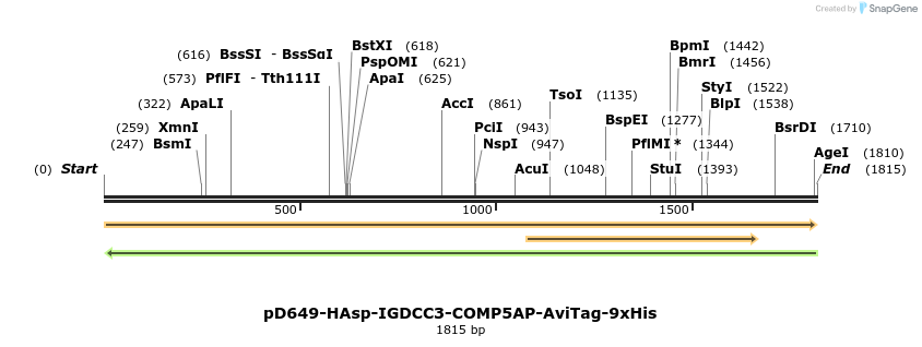 304088_map