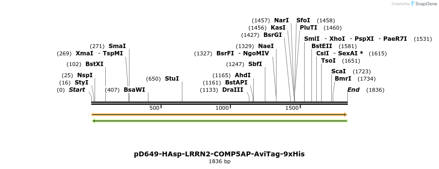 304094_map