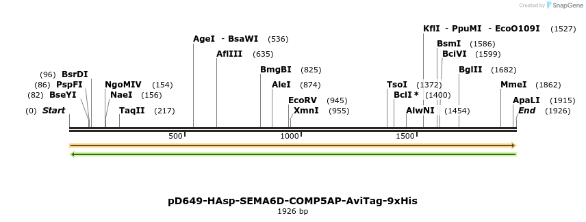 304106_map