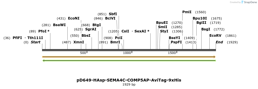 304108_map