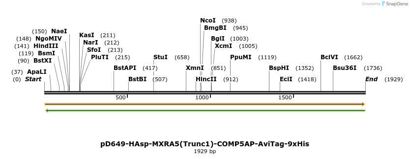 304110_map
