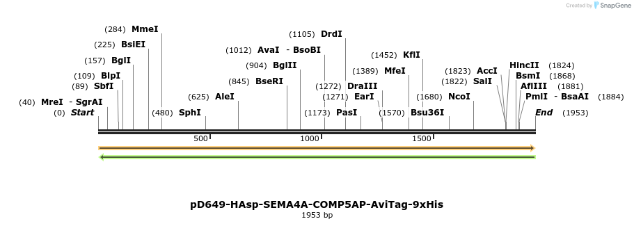 304114_map