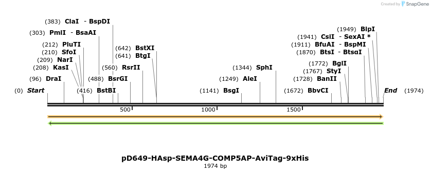 304116_map