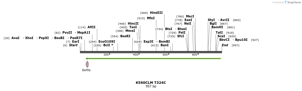 30412_map