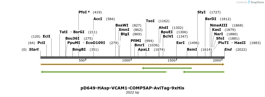 304122_map