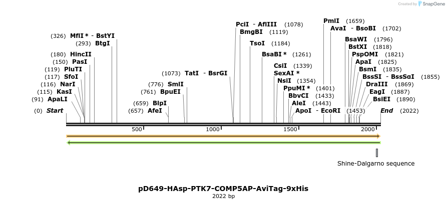 304124_map