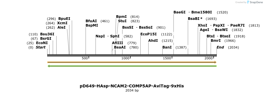 304128_map