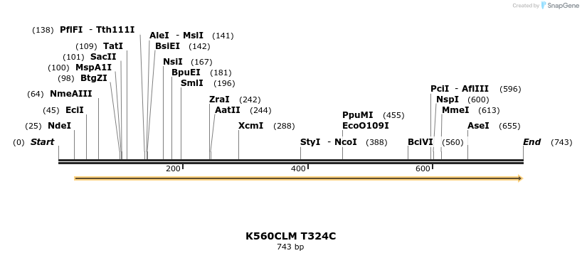 30413_map