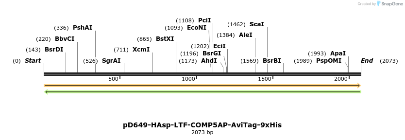 304130_map