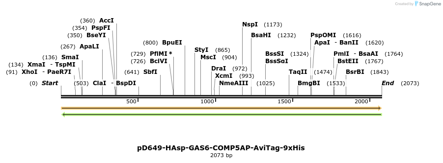 304132_map