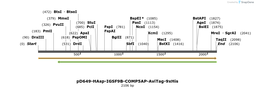 304136_map