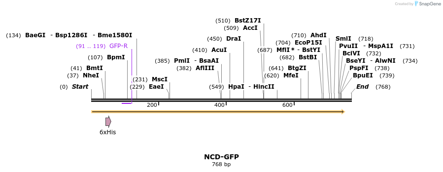 30414_map
