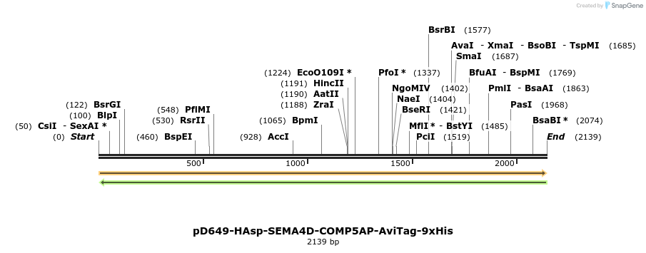 304142_map