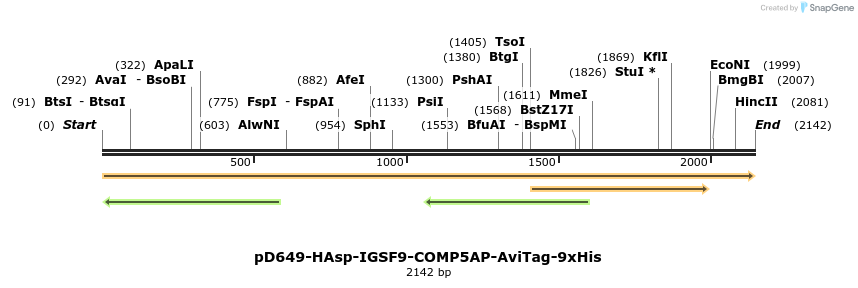 304144_map
