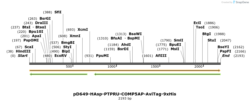 304158_map