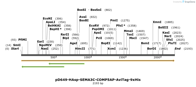 304160_map