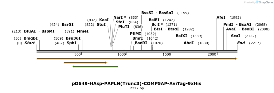 304168_map