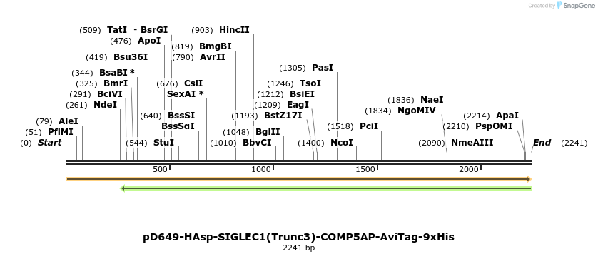 304174_map